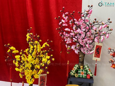 Cây Mai Đào thân gỗ để bàn [Tỉ mỉ - Nhẹ] C50cm CAYCANH-TET-01